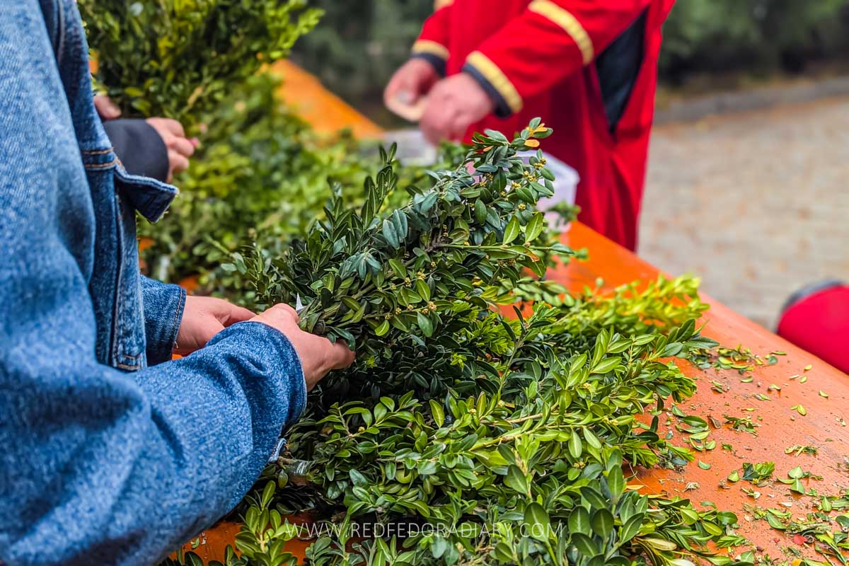 Easter in Georgia 2025: How to Celebrate it Like a Local 18 Easter in Georgia 2025: How to Celebrate it Like a Local 14