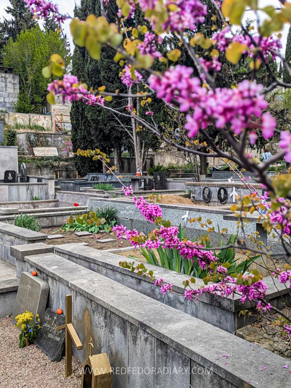 Easter in Georgia 2025: How to Celebrate it Like a Local 36 Easter in Georgia 2025: How to Celebrate it Like a Local 32