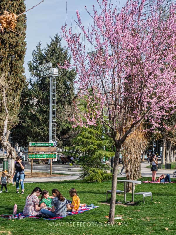 26 Ways to Enjoy Tbilisi in Spring Like a Local in 2025 6 26 Ways to Enjoy Tbilisi in Spring Like a Local in 2025 5