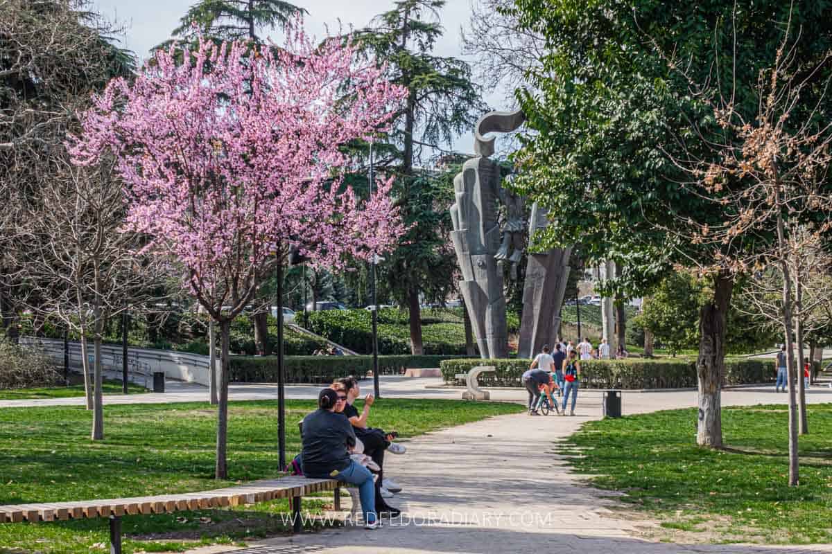 26 Ways to Enjoy Tbilisi in Spring Like a Local in 2025 1 tbilisi in spring