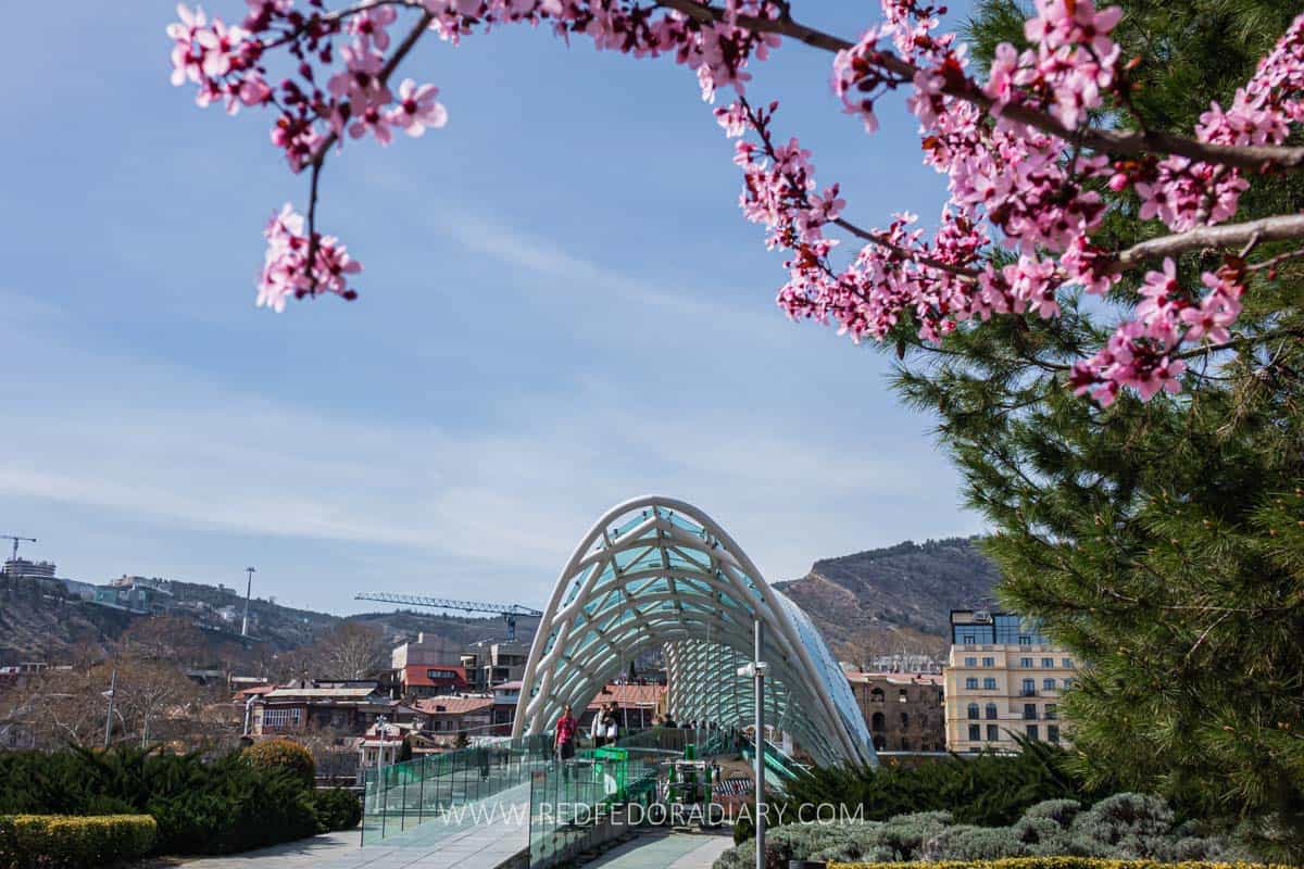 26 Ways to Enjoy Tbilisi in Spring Like a Local in 2025 5 26 Ways to Enjoy Tbilisi in Spring Like a Local in 2025 4