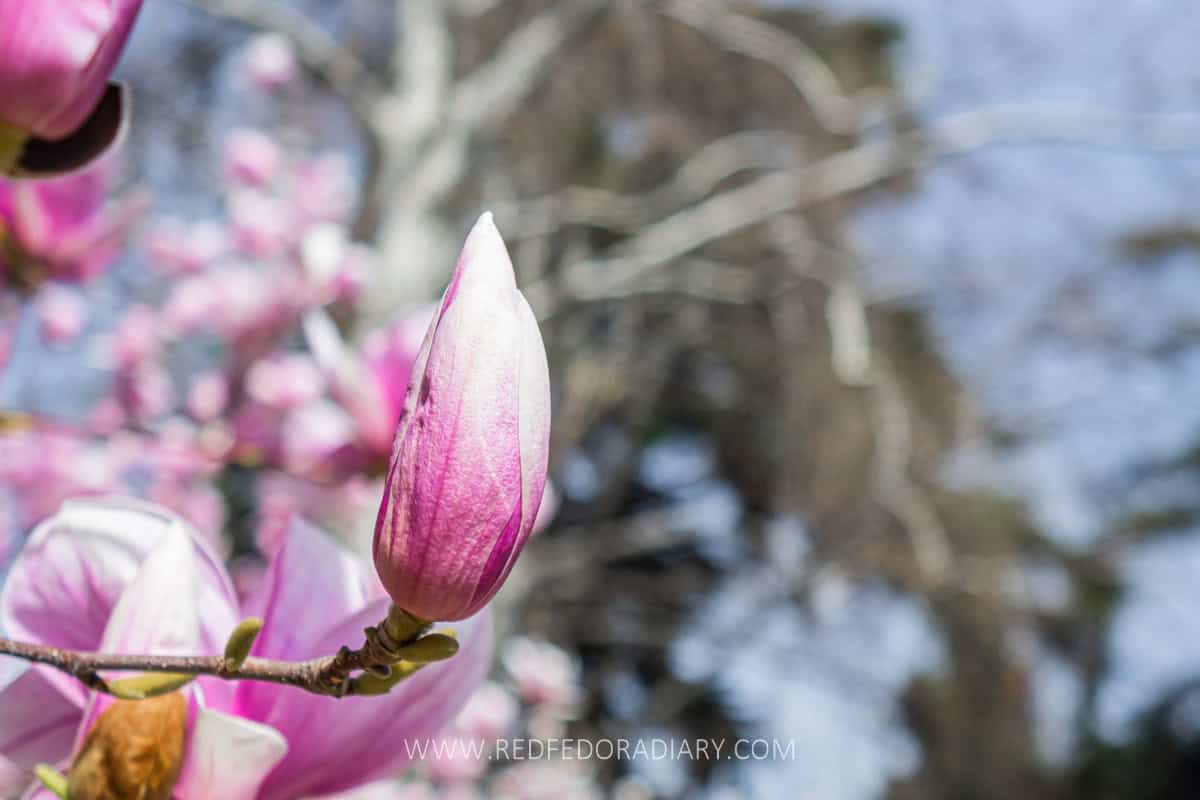 26 Ways to Enjoy Tbilisi in Spring Like a Local in 2025 15 26 Ways to Enjoy Tbilisi in Spring Like a Local in 2025 14