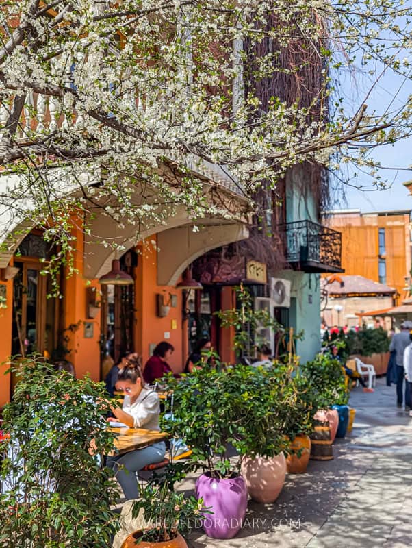 26 Ways to Enjoy Tbilisi in Spring Like a Local in 2025 31 26 Ways to Enjoy Tbilisi in Spring Like a Local in 2025 29