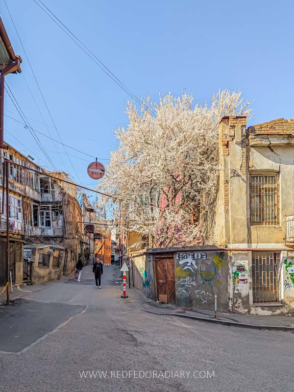 26 Ways to Enjoy Tbilisi in Spring Like a Local in 2025 7 26 Ways to Enjoy Tbilisi in Spring Like a Local in 2025 6