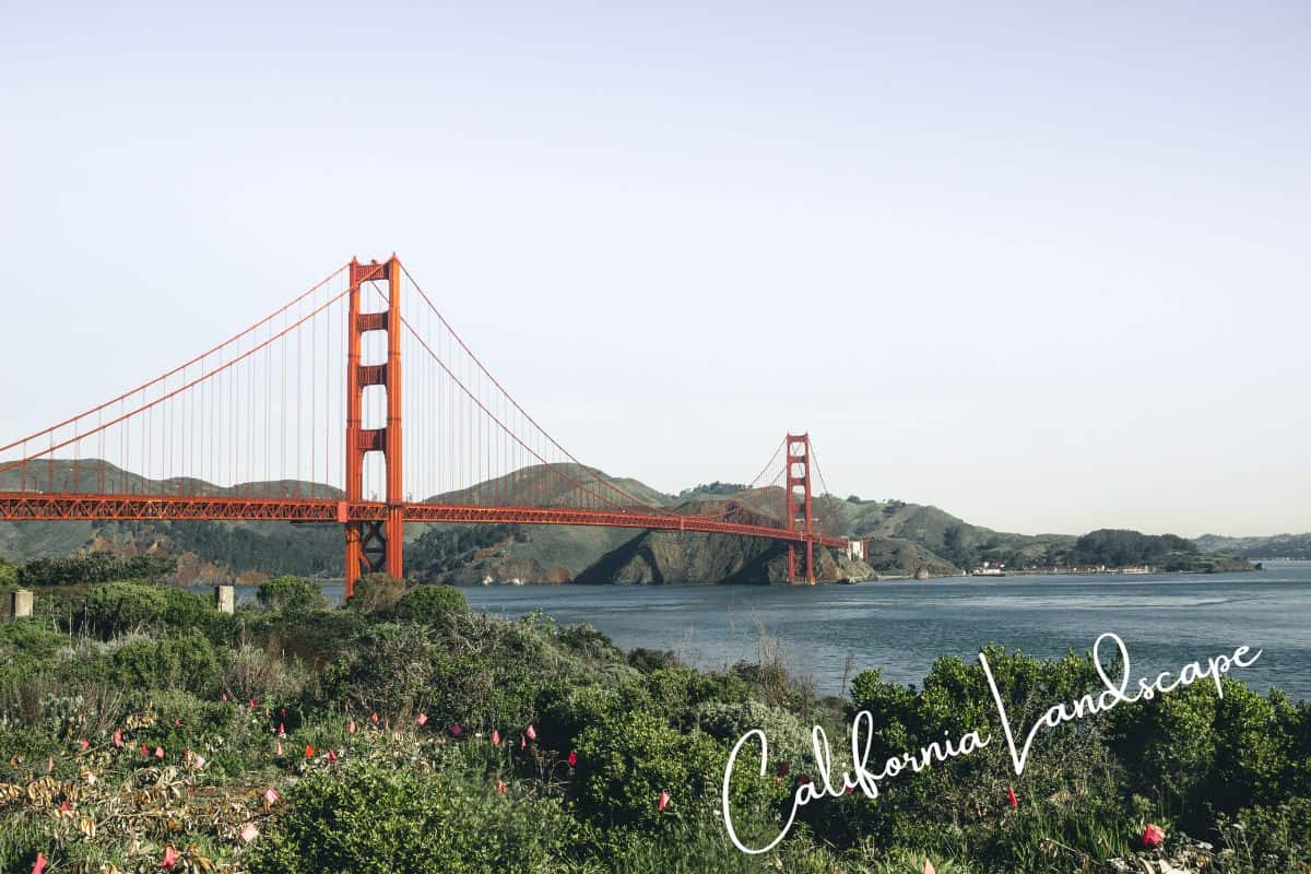 Top 10 California Spring Break Destinations for 2026 2