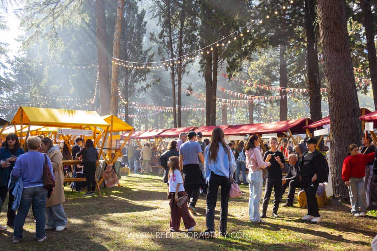 20 Fun Things to Do in Autumn in Tbilisi for 2026 + Tips 18