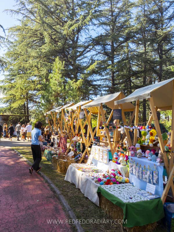 13 Georgian Wine Festivals to Plan Your Trip Around + Tips 40