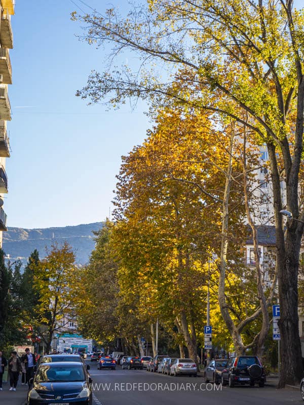 What to Wear in Tbilisi: Packing Tips for Every Season 20