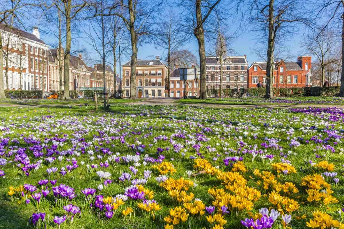 Spring in Europe: Lesser-Known Destinations to Visit in 2026  11