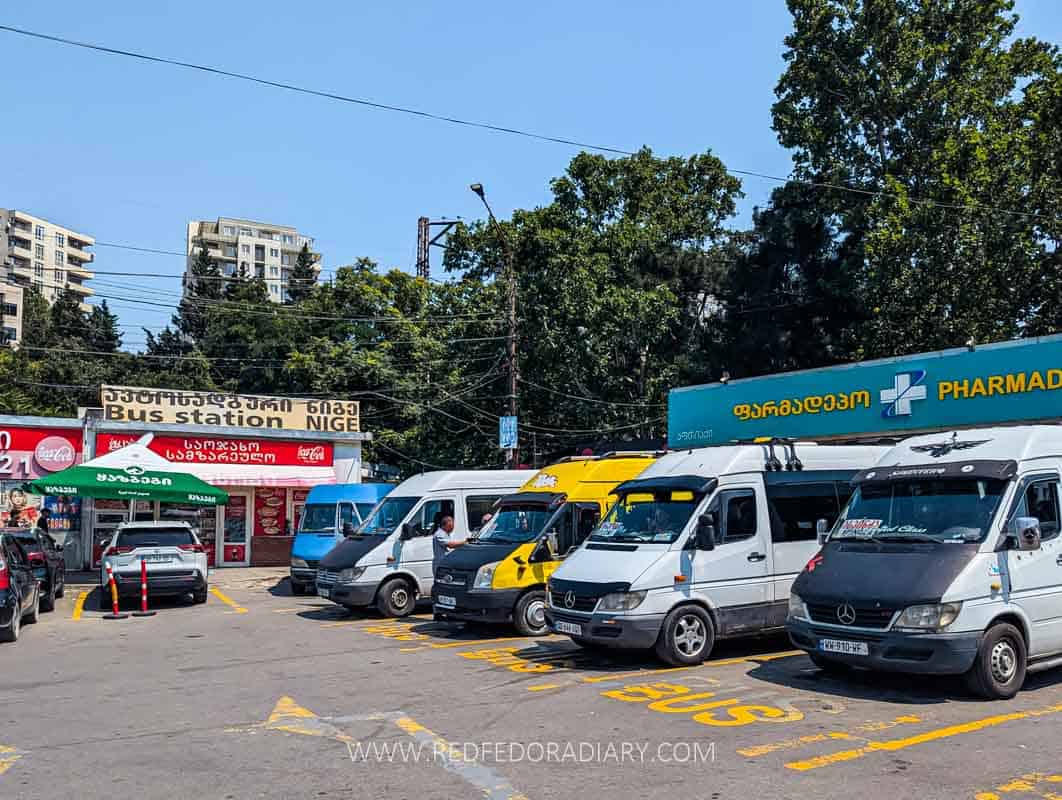 Didube Neighborhood Guide: 21 Best Things to Do 41 Didube Neighborhood Guide: 21 Best Things to Do 38
