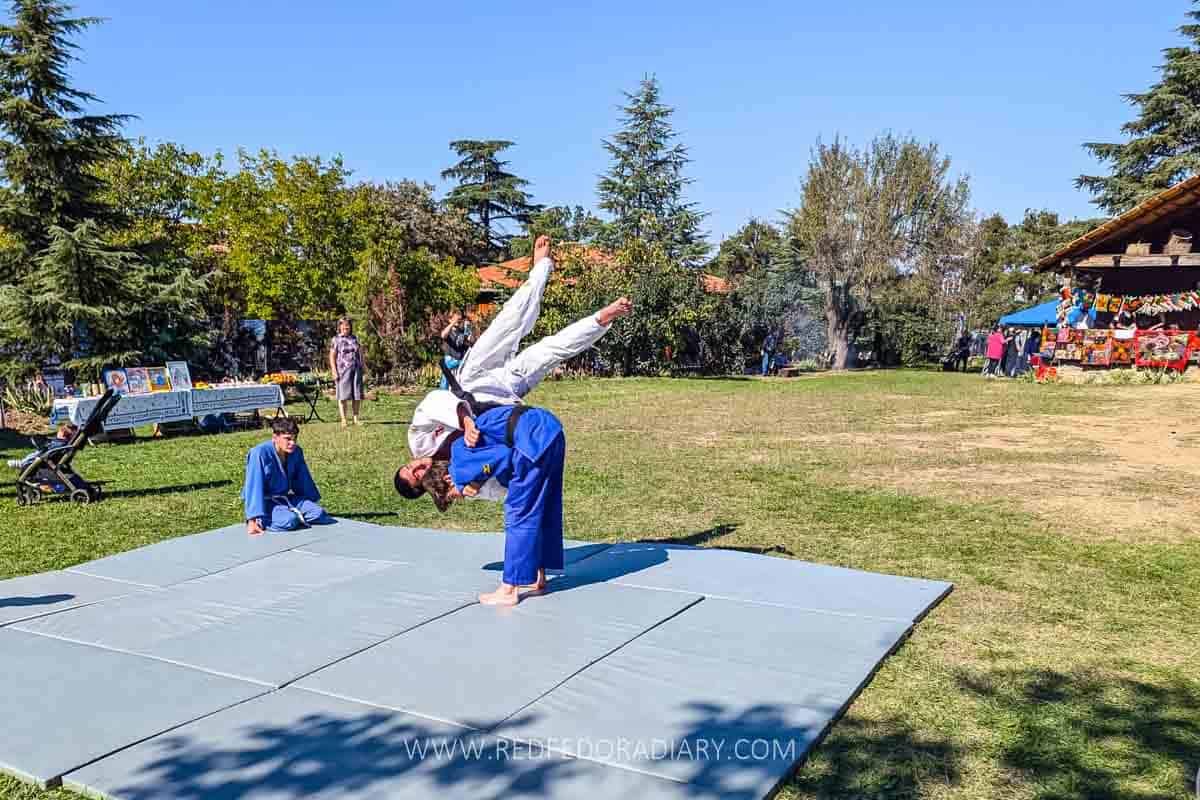 Tbilisoba: A Local’s Guide to Tbilisi’s Biggest Festival 6 Tbilisoba: A Local’s Guide to Tbilisi’s Biggest Festival 4