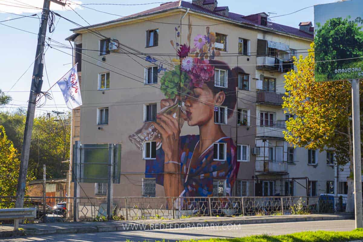 Street art in Gurjaani: 10 Beautiful Murals with a Map  4
