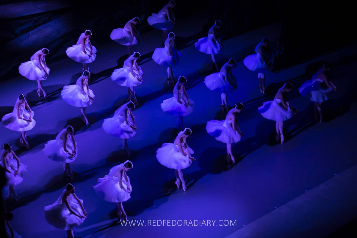 Tbilisi Opera House: How to Visit, Tickets & Tips  20